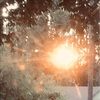 sunset_peach